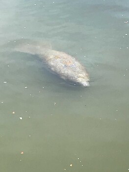 Cozy Cottage In St Lucie Village On The Indian River Lagoon With A