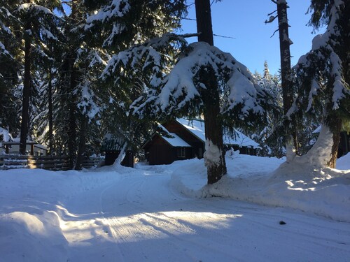 Best Cabins In Snoqualmie Pass For 2020 Find Cheap 79 Cabins