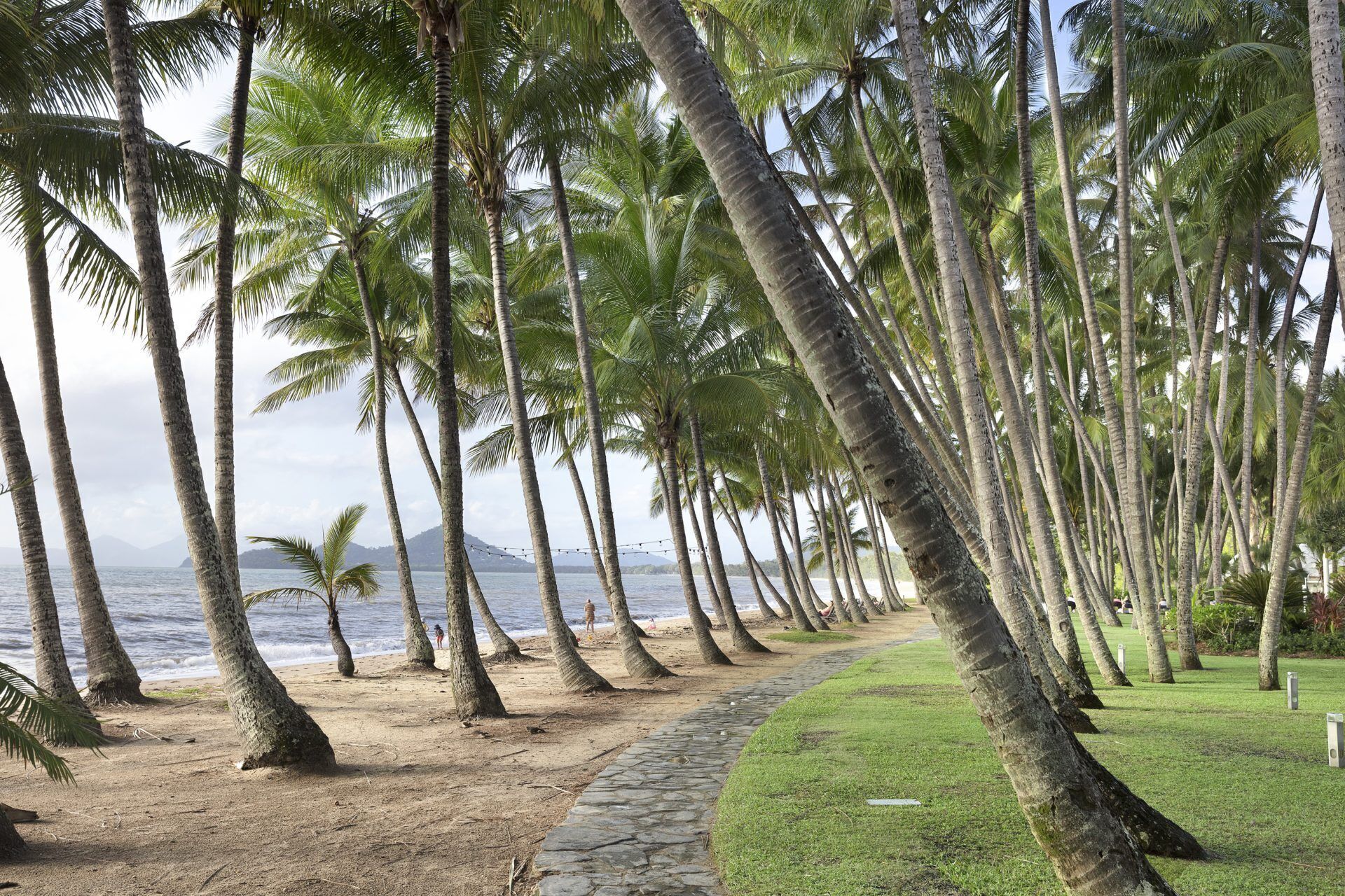 Good Times AND TAN Lines Sea Temple Spa Studio 220 Three Resort Pools Seconds From Beach
