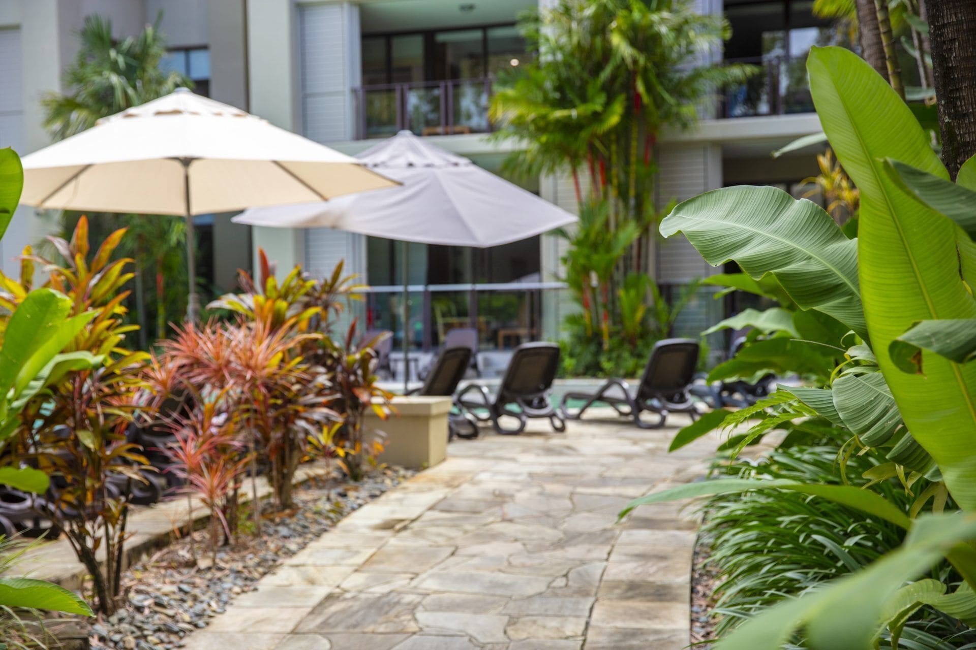 Good Times AND TAN Lines Sea Temple Spa Studio 220 Three Resort Pools Seconds From Beach