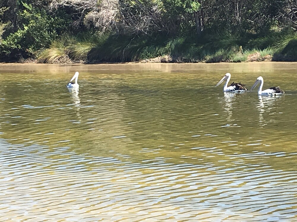 Geographe Bay Rd - Unique Getaway Between The Beach and Toby's Inlet - Quindalup