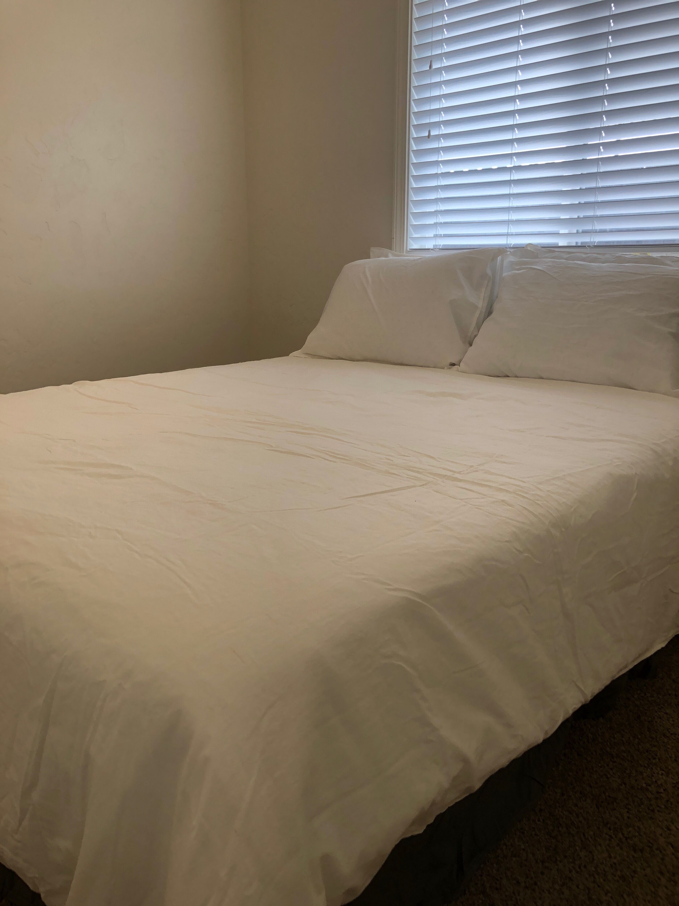 Cute and Cozy Cottage，麦金雷维尔 - 美国 - 2021 优惠，点评和图片 in Eureka, United States