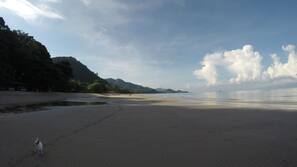 Am Strand, weißer Sandstrand, Liegestühle