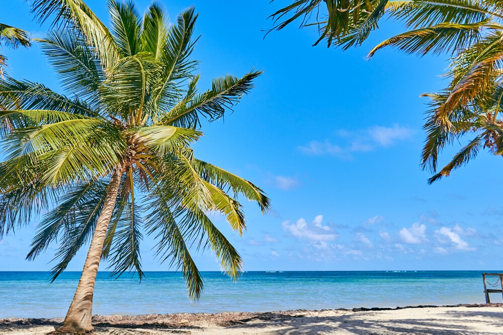 Foto - Corales Punta Cana