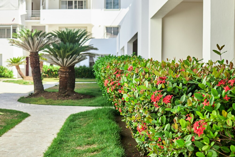 Foto - Corales Punta Cana