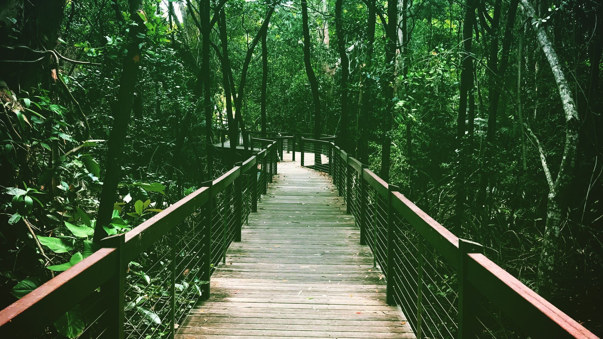 Bonita Vida - Private Couples Retreat; Walk to Beach/restaurants. Great Location