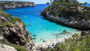 Plage à proximité