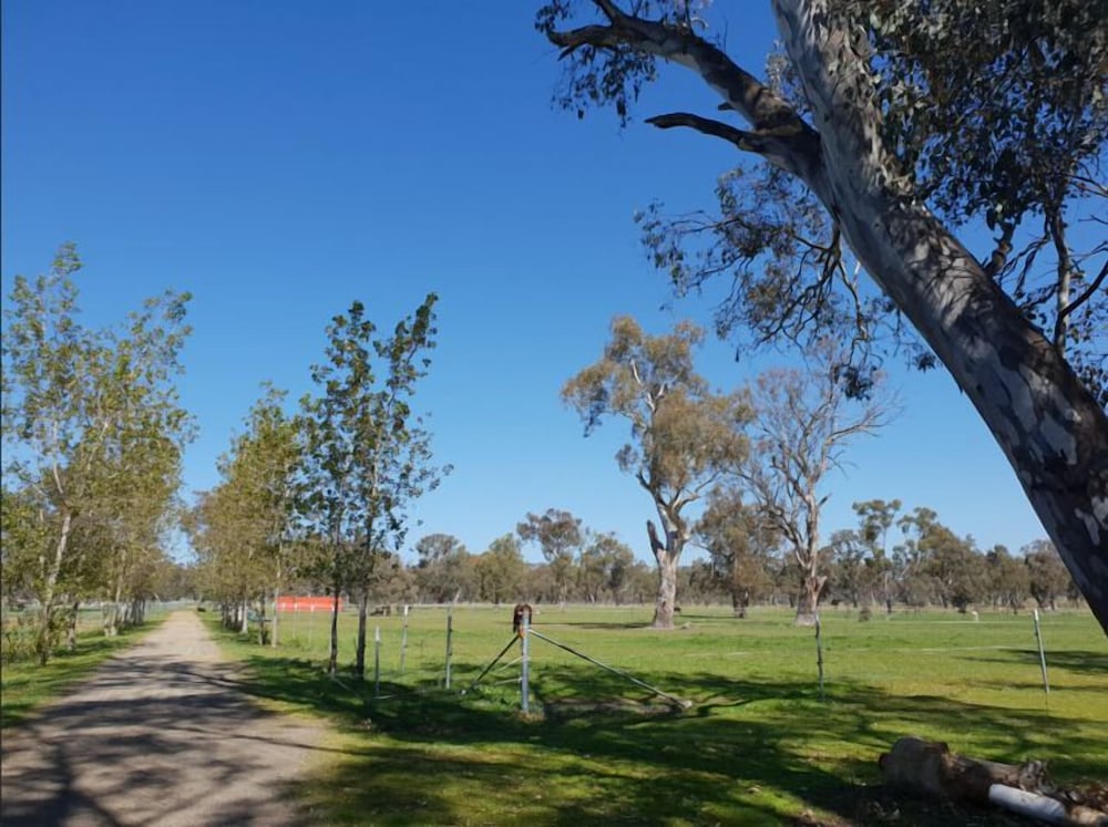 Jindera Park