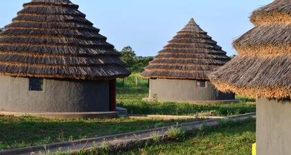 Grassroots Cottages & Tours