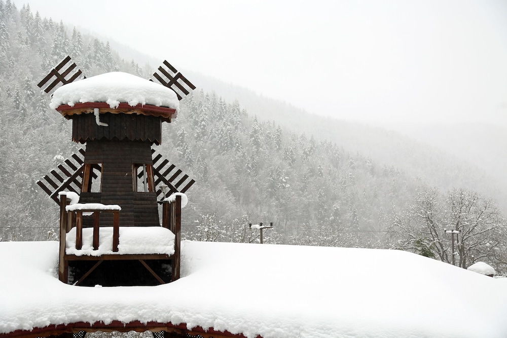 Snow and ski sports, Abant Manzara Butik Otel - Alkolsüz