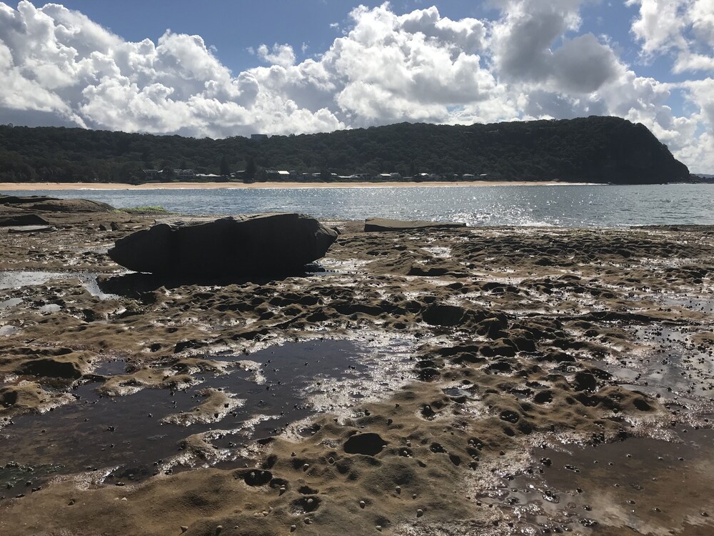 Millers Treat - Pearl Beach. 400m to the beach.