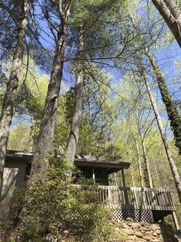 Barb S House The Cabins At Crabtree Falls Reviews Photos