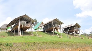 Hochwertige Bettwaren, Pillowtop-Betten, Zimmersafe