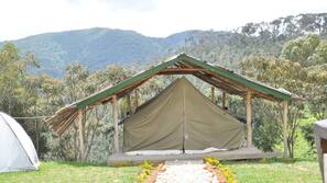 Hochwertige Bettwaren, Pillowtop-Betten, Zimmersafe