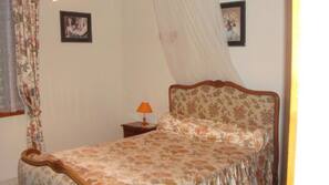 Individually decorated, individually furnished, blackout curtains