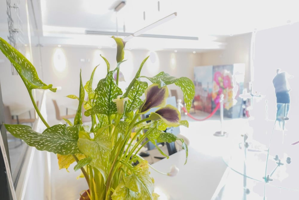 Foto - Lago Suites Hotel