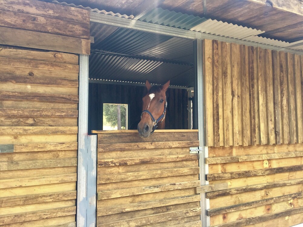 Visiting Bundanon? Stay at Heron's Rest Tapitallee Lodges Deals