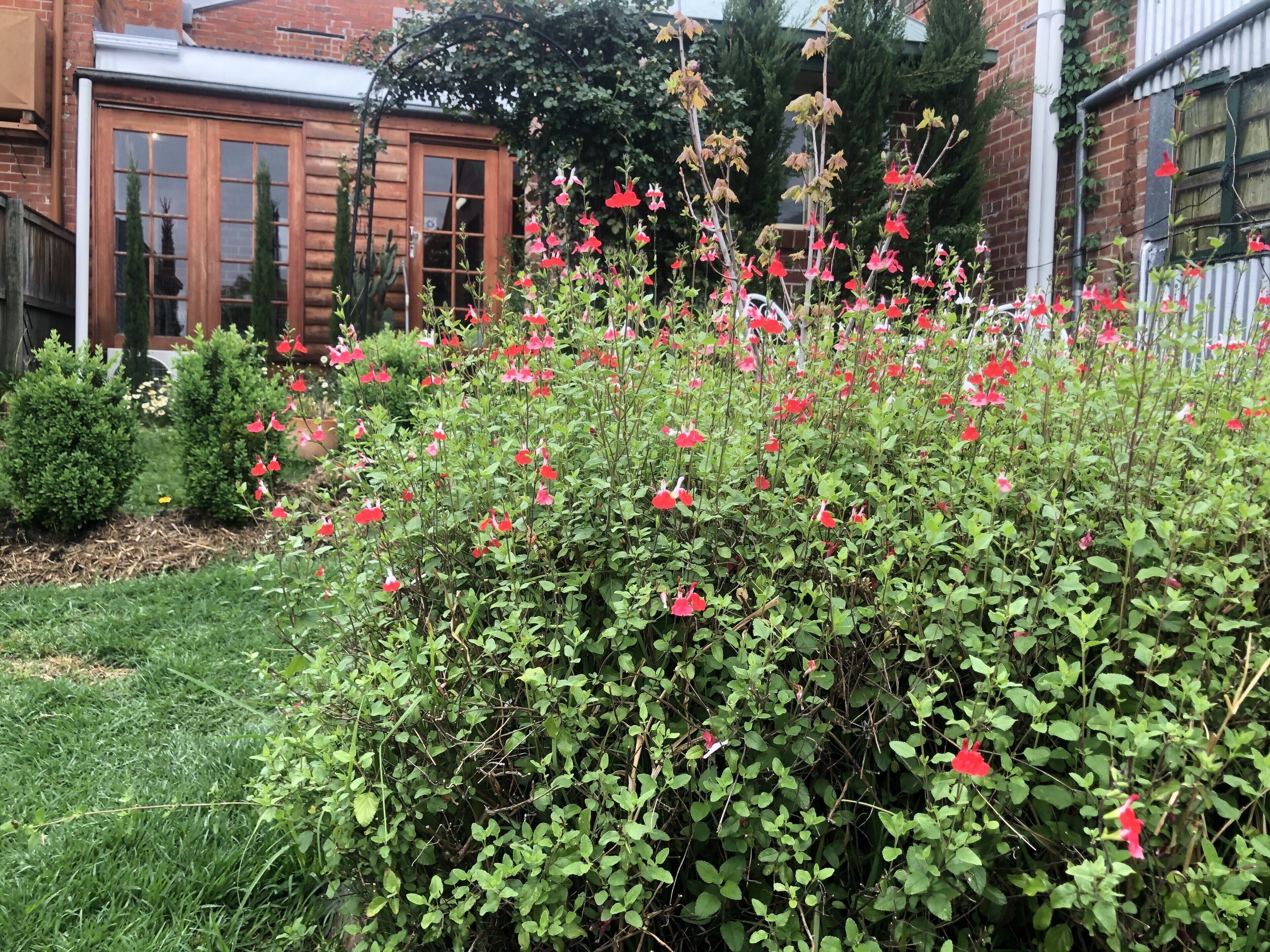 The Shopkeepers' Quarters | Quaint Heritage Charm