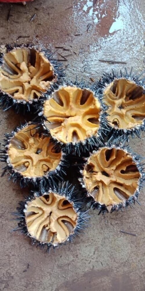 Foto - MAY 2 HOTEL Phu Quoc