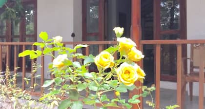 ELLA NATURE NEST