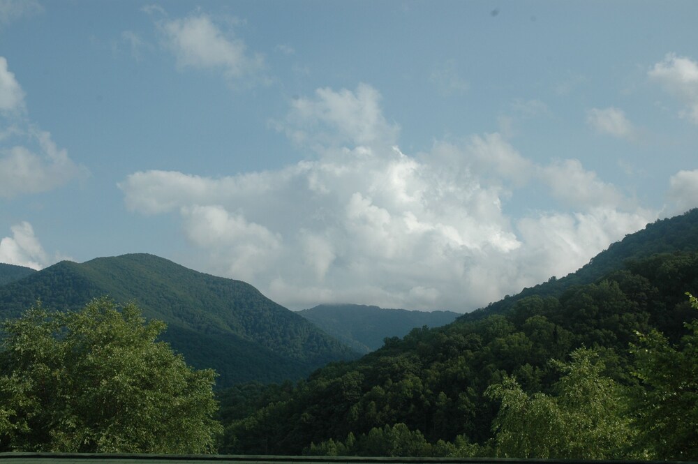 MARCH SPECIAL;19/25, MT. VIEWS, ATTACHED GARAGE, FLAT PAVED PARKING, DOG W/FEE.