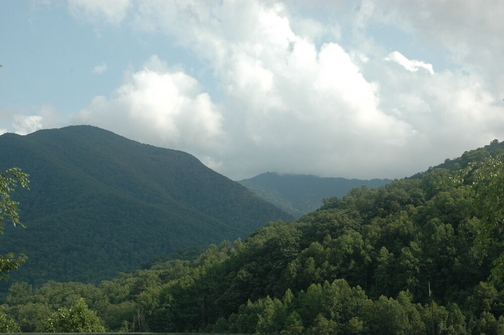 MARCH SPECIAL;19/25, MT. VIEWS, ATTACHED GARAGE, FLAT PAVED PARKING, DOG W/FEE.