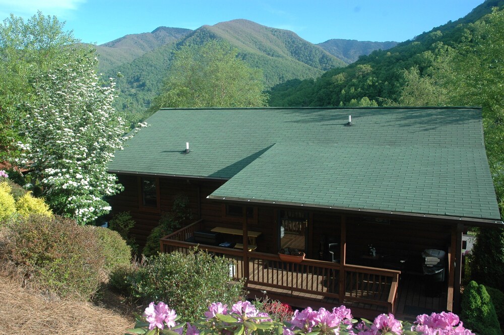 MARCH SPECIAL;19/25, MT. VIEWS, ATTACHED GARAGE, FLAT PAVED PARKING, DOG W/FEE.