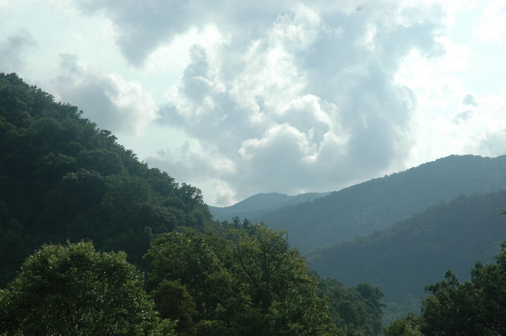 MARCH SPECIAL;19/25, MT. VIEWS, ATTACHED GARAGE, FLAT PAVED PARKING, DOG W/FEE.