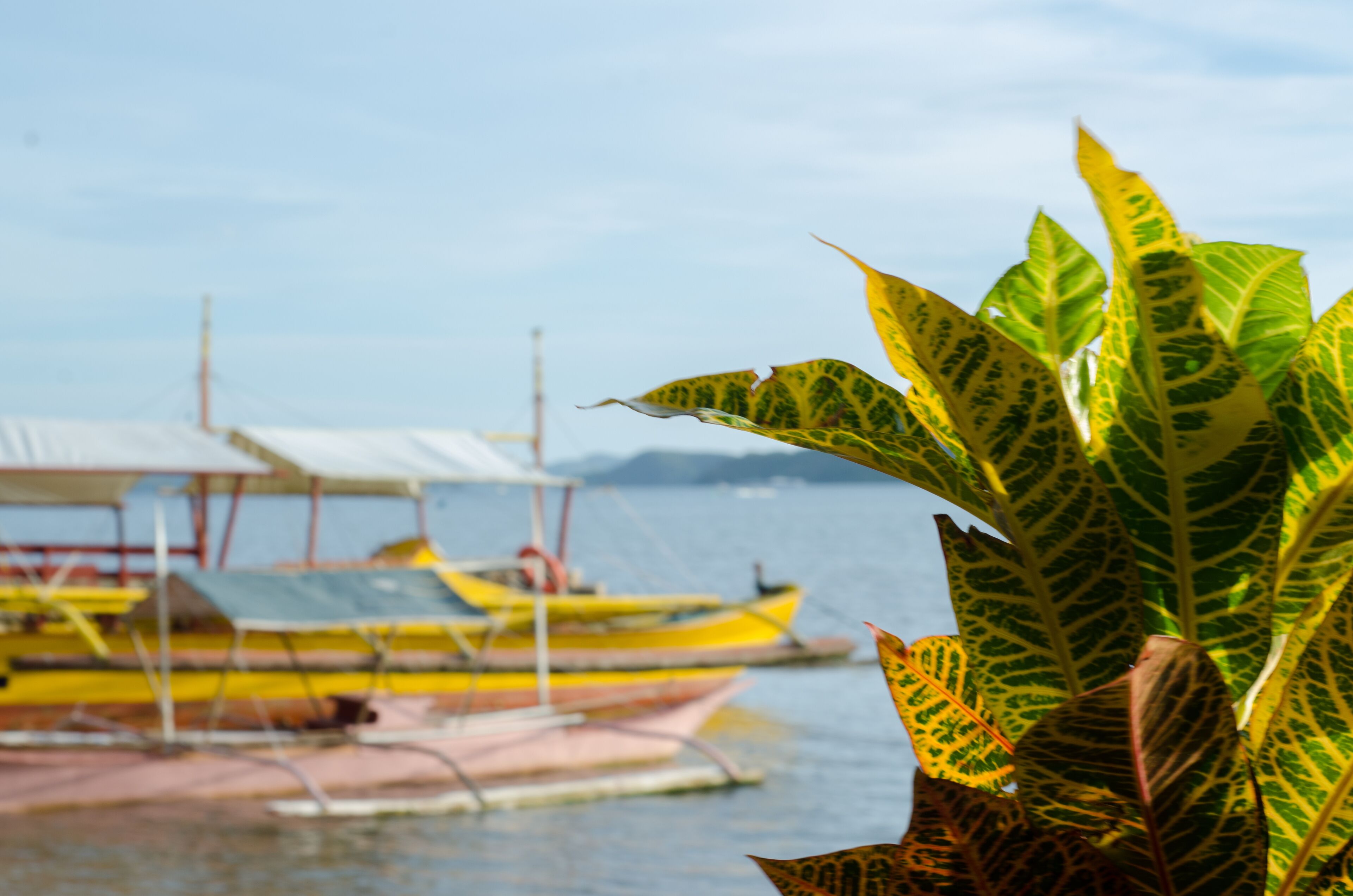 Concepcion Divers Lodge Hut 2 in Busuanga in Busuanga, Philippines