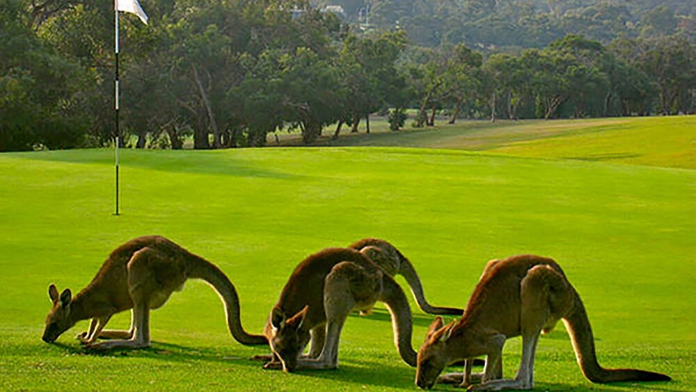 "the Tee House on the Golf Course"