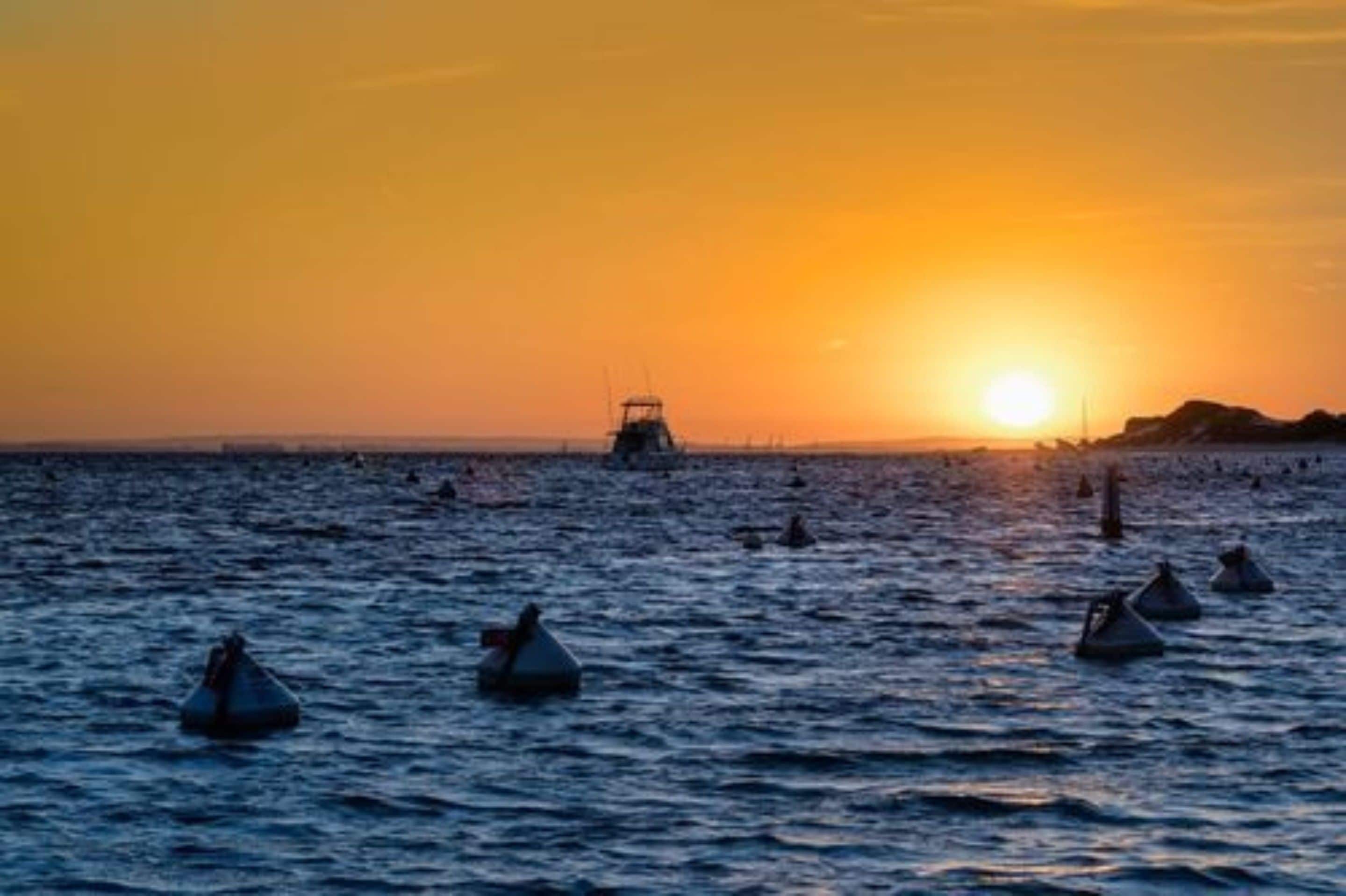 Discovery Rottnest Island