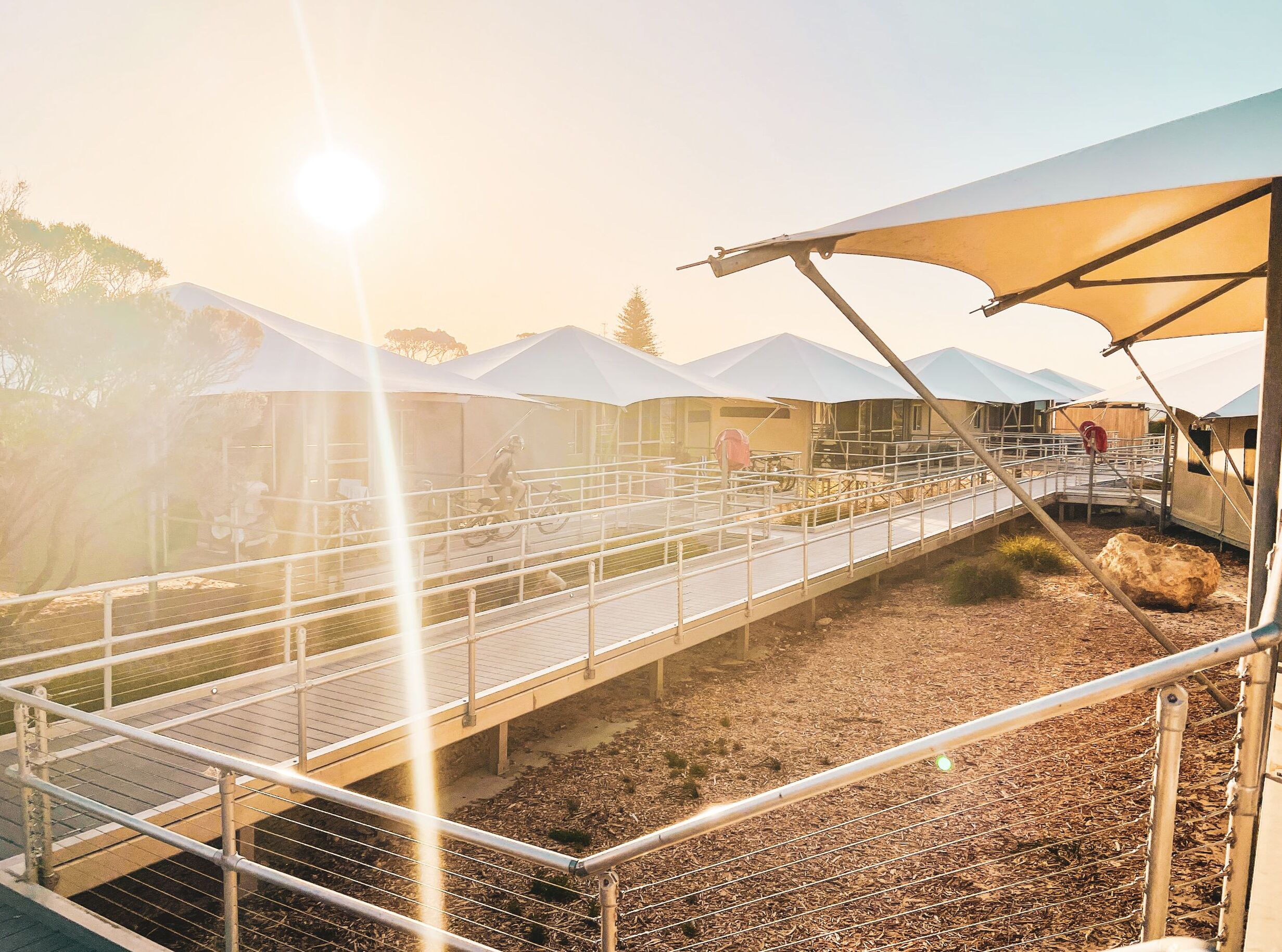 Discovery Rottnest Island