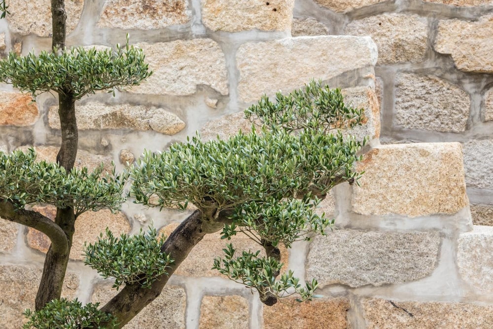 Photo - Porto Deluxe Suites