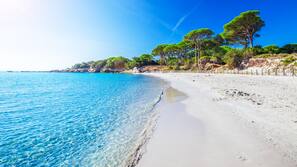 Vlak bij het strand