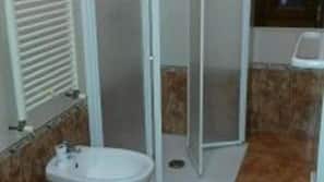 Shower, rainfall showerhead, bidet, towels