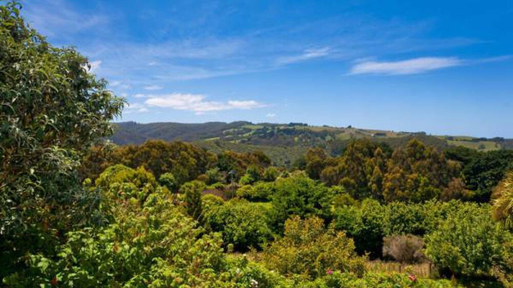 120 Biddles - Captivating View From the Top!