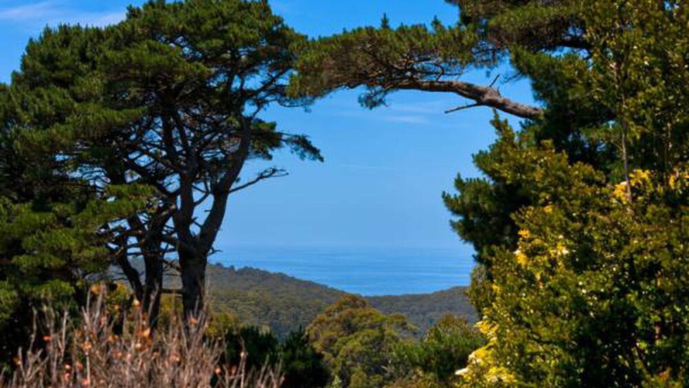 120 Biddles - Captivating View From the Top!