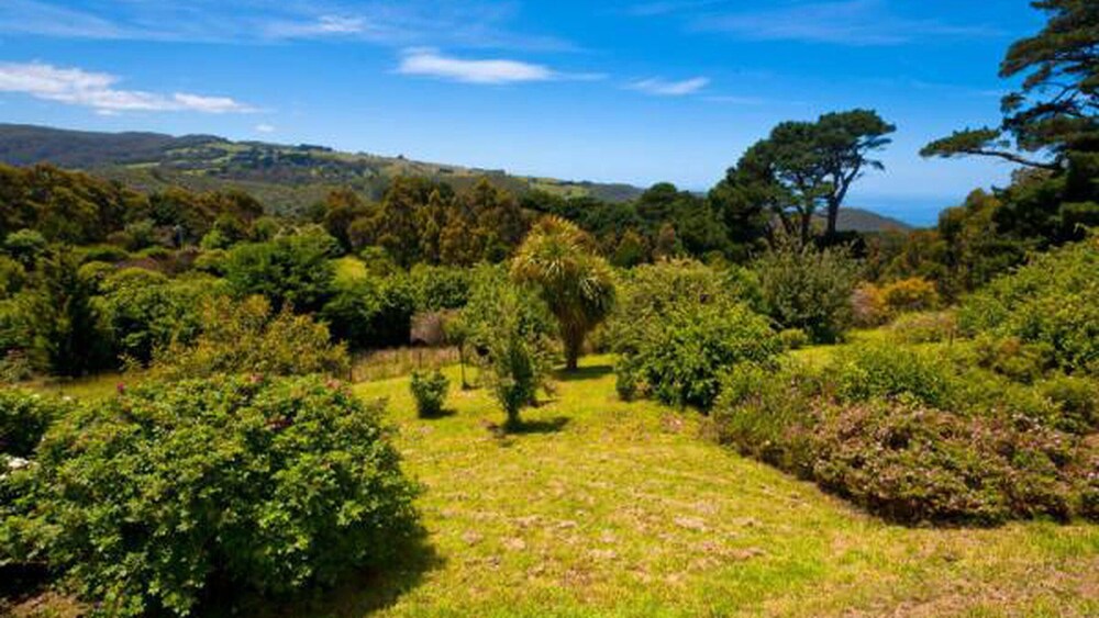 120 Biddles - Captivating View From the Top!