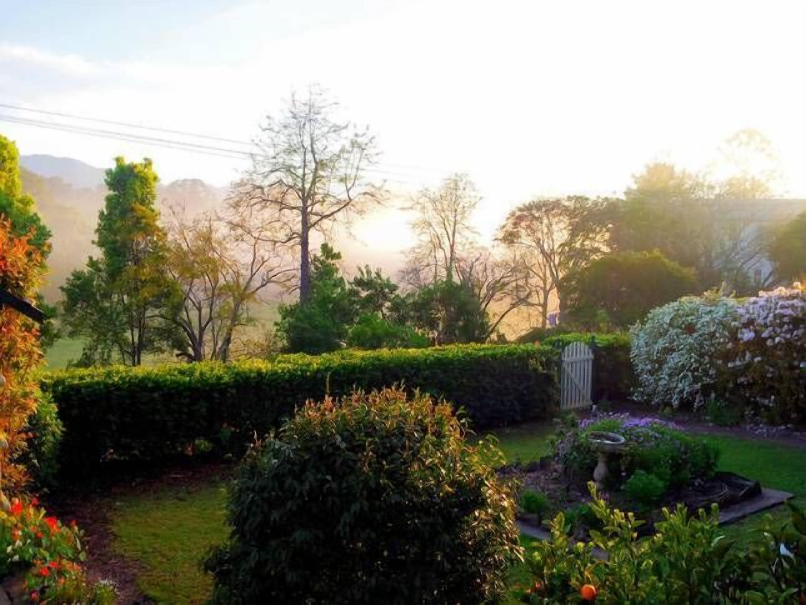 Wisteria Cottage B&B - Bellingen