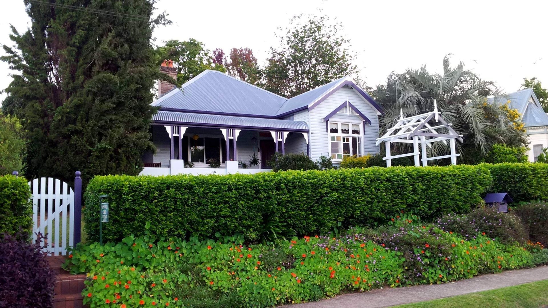 Wisteria Cottage B&B - Bellingen