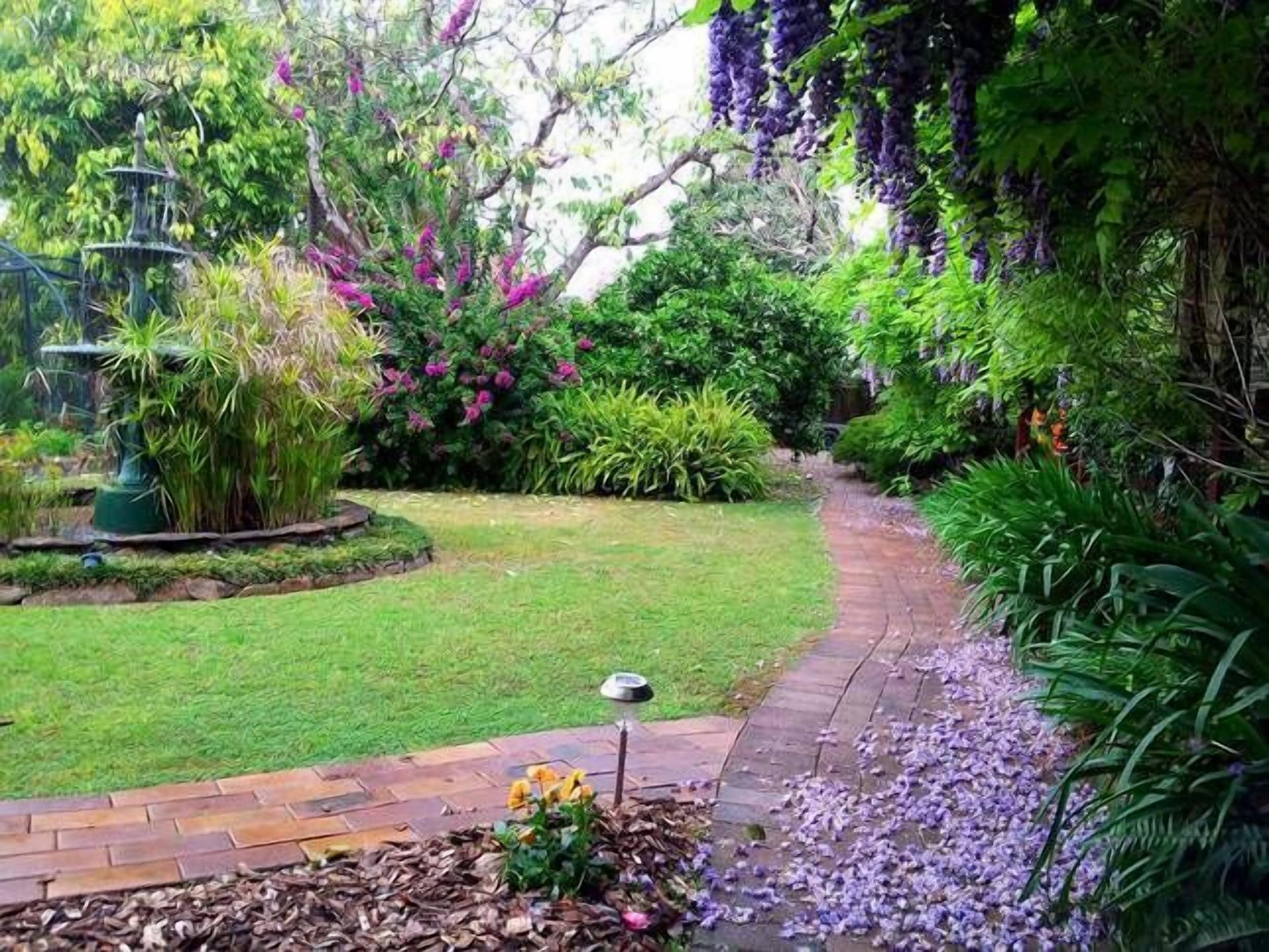 Wisteria Cottage B&B - Bellingen