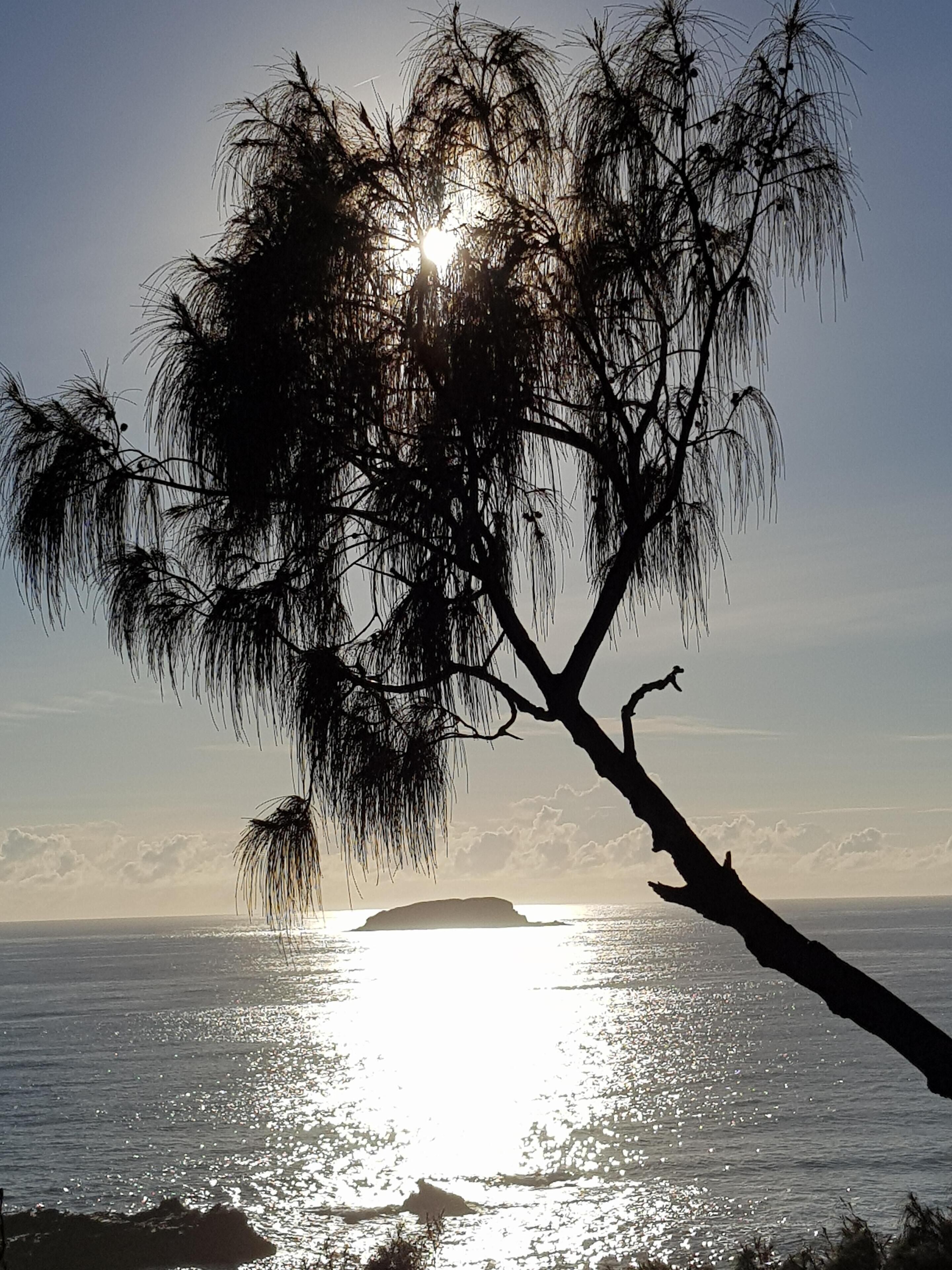 Sapphire Garden Retreat