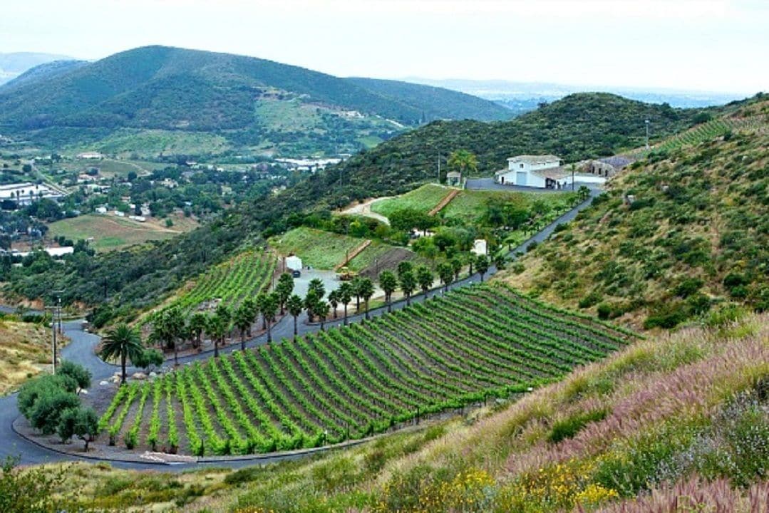 Sunshine Mountain Bed and Breakfast in San Marcos, United States