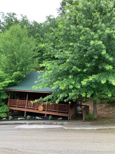 2 K 2ba Resort Log Cabin Hot Tub Gas Logs Roku Disney Cable