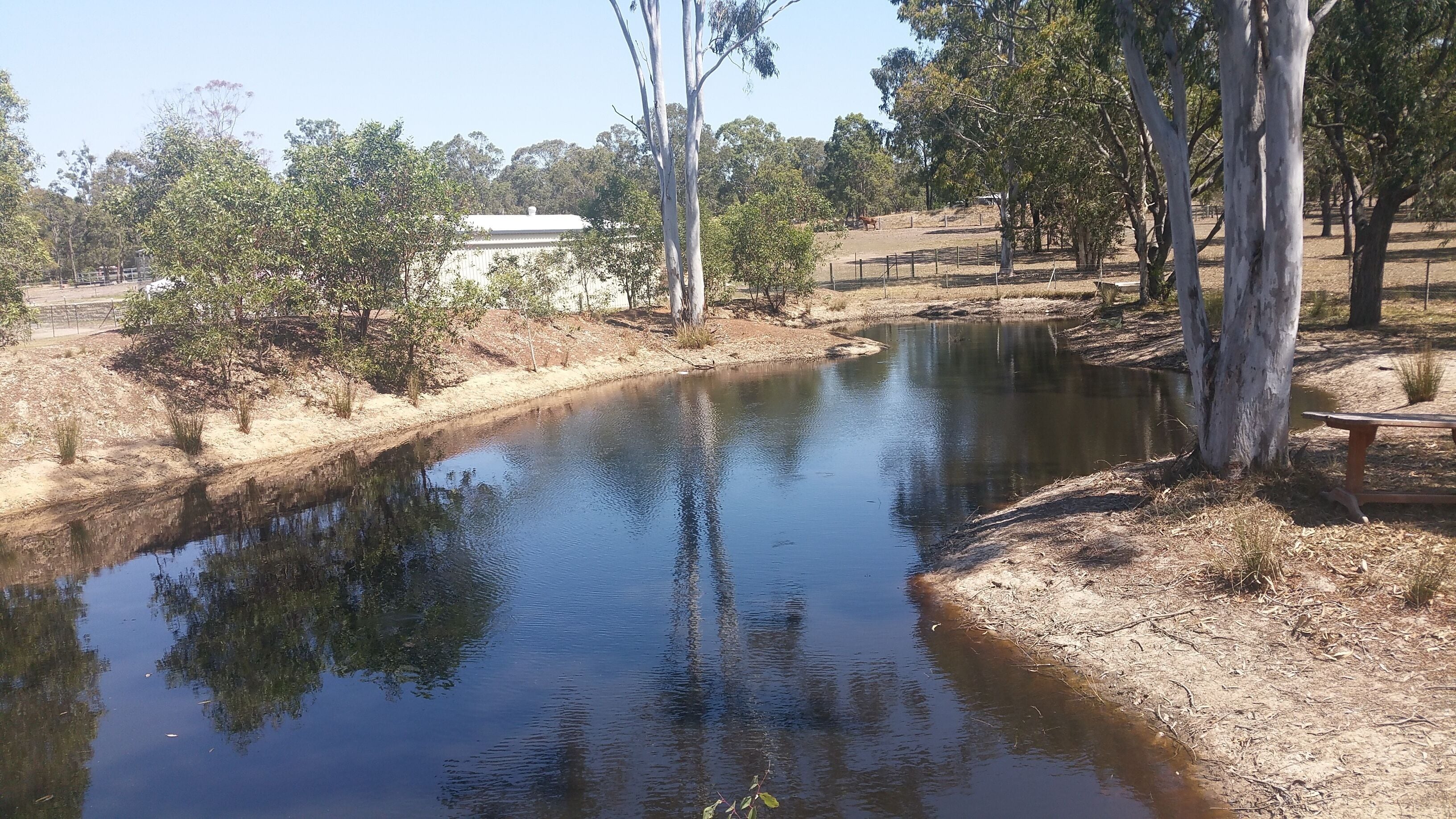 Spacious2 Bedroom Guest Unit, Private Bath and Kitchen on 5 Acres. Free Wifi