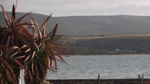 Beach nearby, sun loungers
