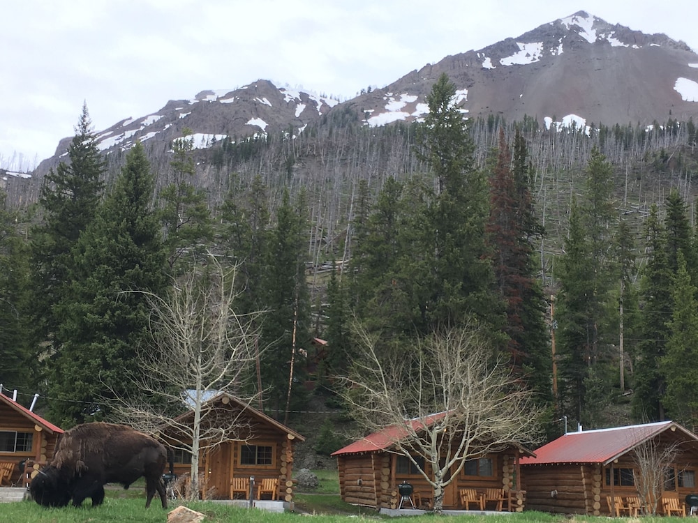 Silver Gate Lodging in Silver Gate Best Rates & Deals on Orbitz