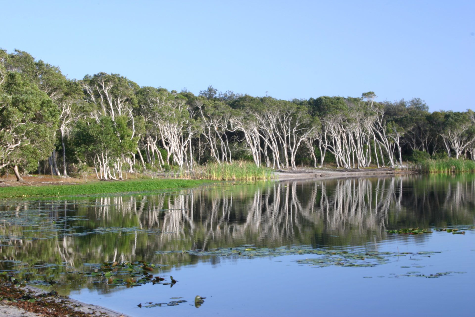 The Loft 33 Resort at 7 Park Lane