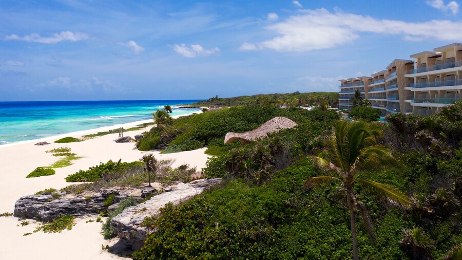Palmaïa - The House of AïA Wellness Enclave All Inclusive