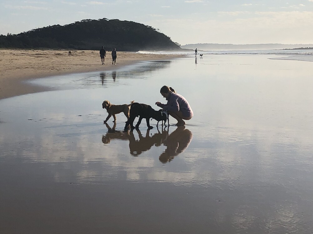 Family & pet friendly, walk to beach. Newly renovated, large garden